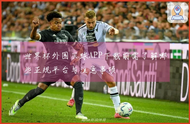 世界杯外围买球APP下载前需了解哪些正规平台与注意事项