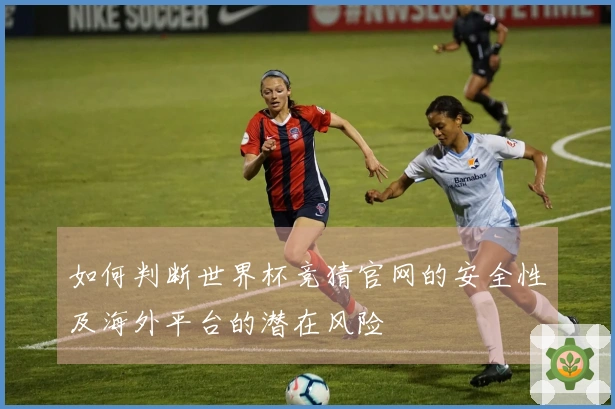 如何判断世界杯竞猜官网的安全性及海外平台的潜在风险