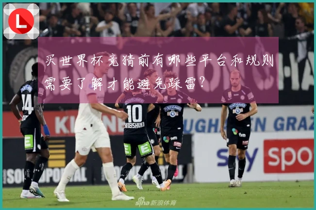 买世界杯竞猜前有哪些平台和规则需要了解才能避免踩雷？