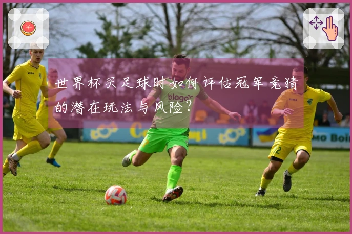 世界杯买足球时如何评估冠军竞猜的潜在玩法与风险？