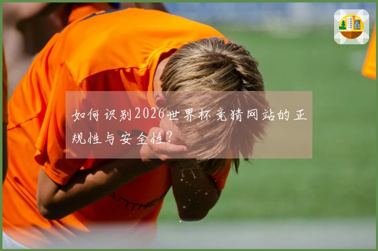 如何识别2026世界杯竞猜网站的正规性与安全性？