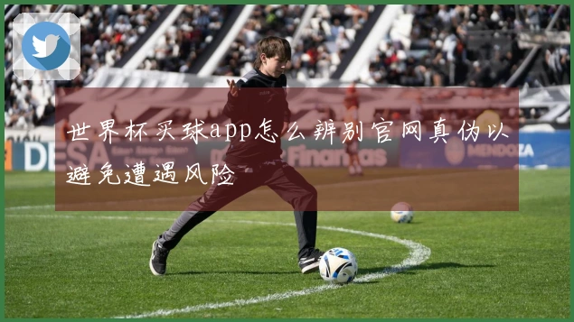 世界杯买球app怎么辨别官网真伪以避免遭遇风险