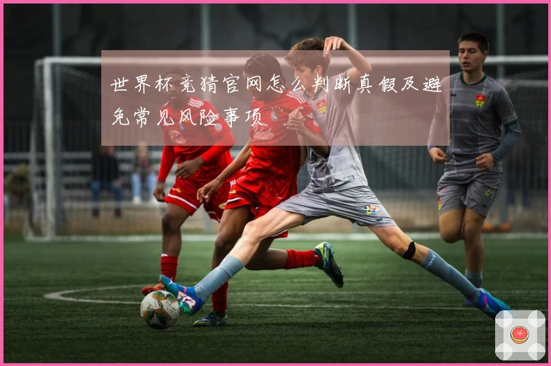 世界杯竞猜官网怎么判断真假及避免常见风险事项