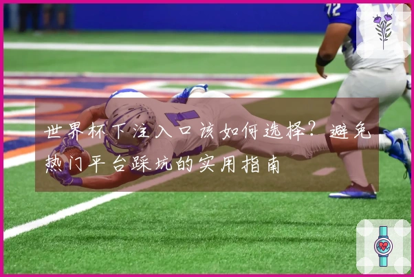 世界杯下注入口该如何选择？避免热门平台踩坑的实用指南