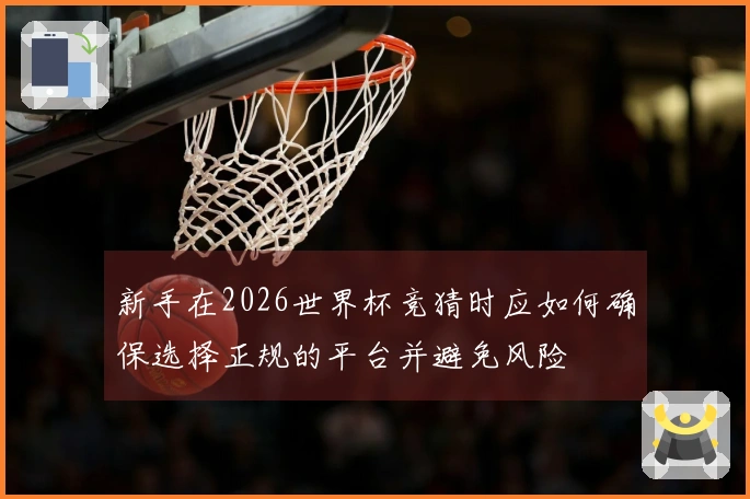 新手在2026世界杯竞猜时应如何确保选择正规的平台并避免风险