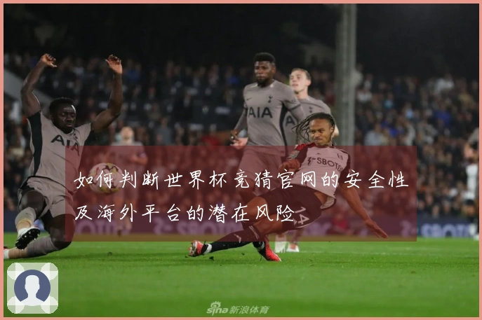如何判断世界杯竞猜官网的安全性及海外平台的潜在风险