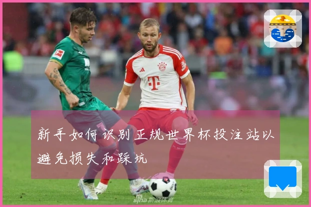 新手如何识别正规世界杯投注站以避免损失和踩坑