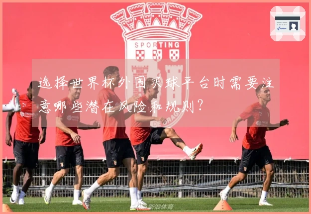 选择世界杯外围买球平台时需要注意哪些潜在风险和规则？