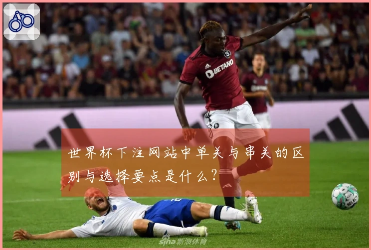 世界杯下注网站中单关与串关的区别与选择要点是什么？