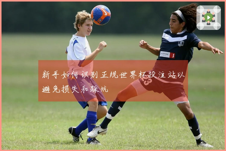 新手如何识别正规世界杯投注站以避免损失和踩坑