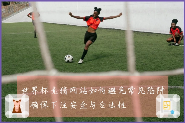 世界杯竞猜网站如何避免常见陷阱，确保下注安全与合法性