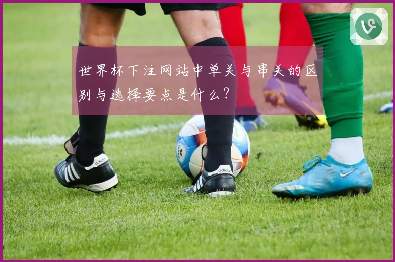 世界杯下注网站中单关与串关的区别与选择要点是什么？