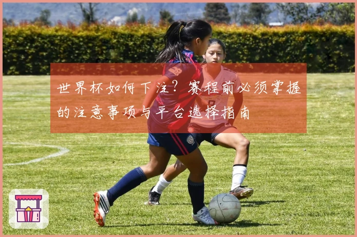 世界杯如何下注？赛程前必须掌握的注意事项与平台选择指南