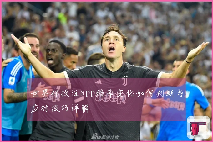 世界杯投注app赔率变化如何判断与应对技巧详解