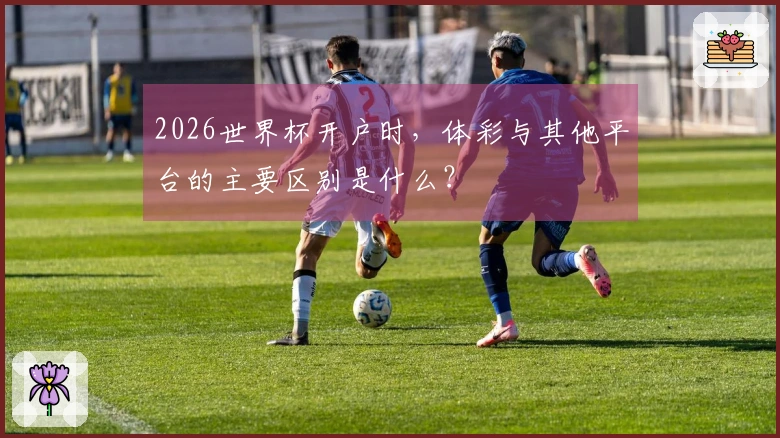 2026世界杯开户时，体彩与其他平台的主要区别是什么？