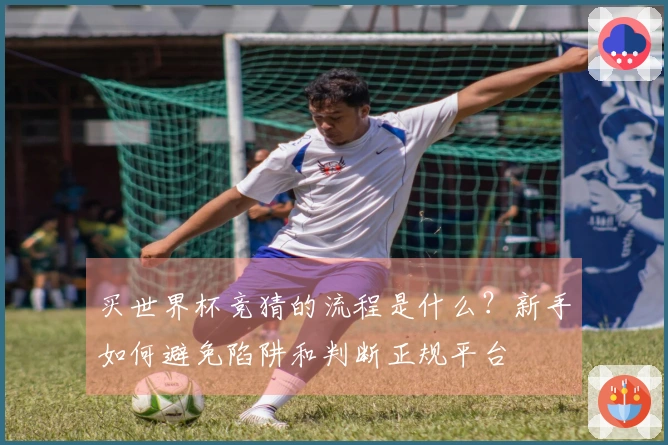 买世界杯竞猜的流程是什么？新手如何避免陷阱和判断正规平台