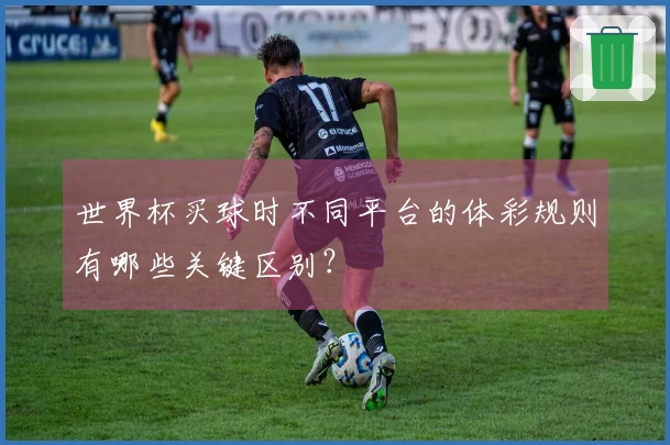 世界杯买球时不同平台的体彩规则有哪些关键区别？