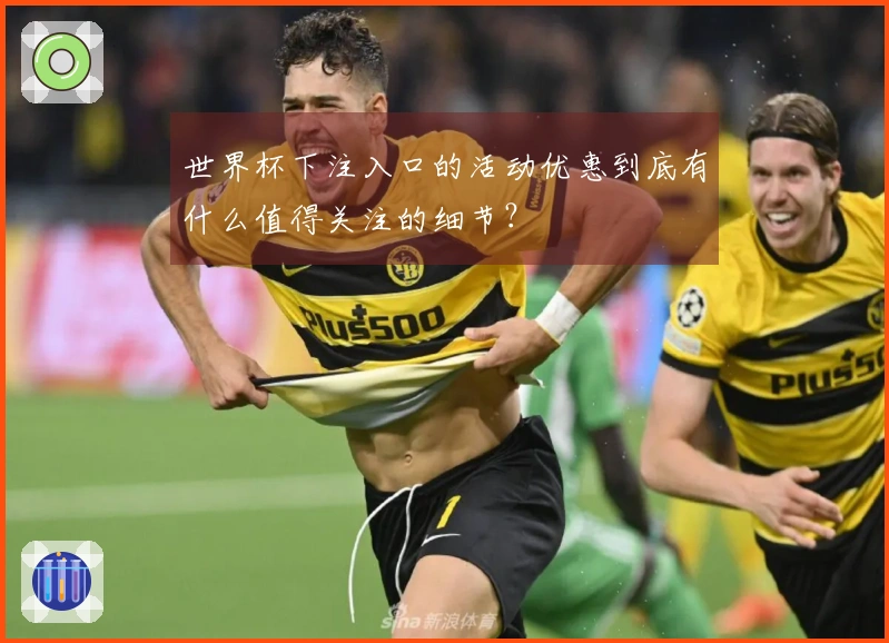 世界杯下注入口的活动优惠到底有什么值得关注的细节？