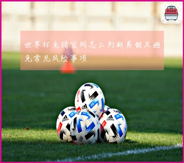 世界杯竞猜官网怎么判断真假及避免常见风险事项