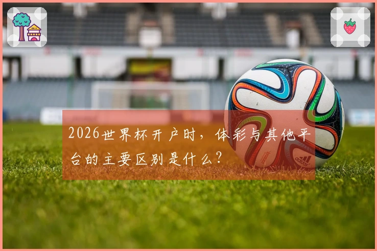 2026世界杯开户时,体彩与其他平台的主要区别是什么?