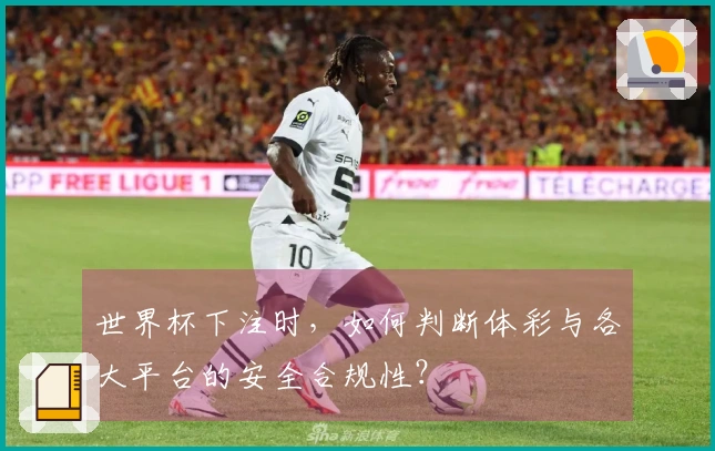 世界杯下注时，如何判断体彩与各大平台的安全合规性？