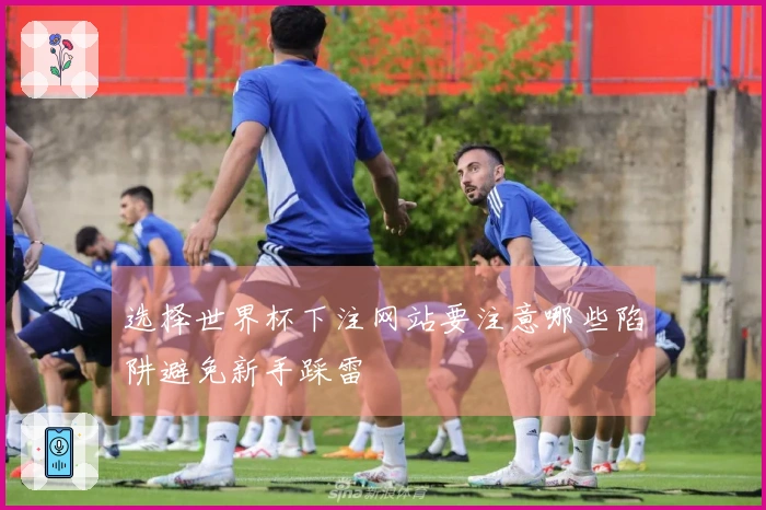 选择世界杯下注网站要注意哪些陷阱避免新手踩雷