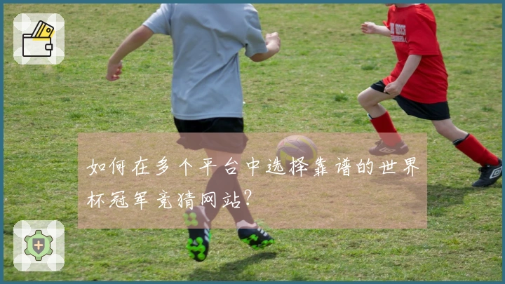 如何在多个平台中选择靠谱的世界杯冠军竞猜网站？
